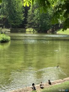 Vente Appartement 3 pi�ces PARIS-19EME-ARRONDISSEMENT 75019