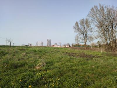 Vente Maison MONTUSSAN 33450