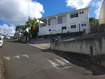 Vente Immeuble SCHOELCHER 97233