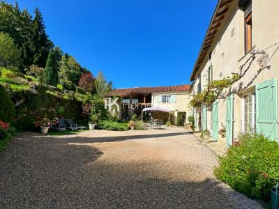 Vente Maison 9 pi�ces SALIES-DU-SALAT 31260