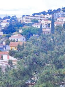 Vente Appartement 3 pi�ces CANNET 06110