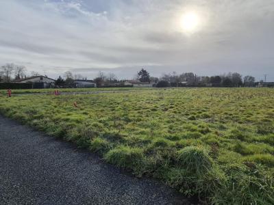 Vente Terrain COUTRAS 33230