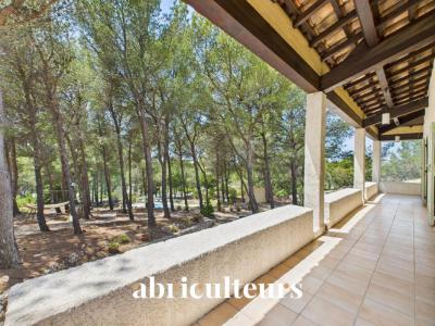 Vente Maison 8 pi�ces VENTABREN 13122