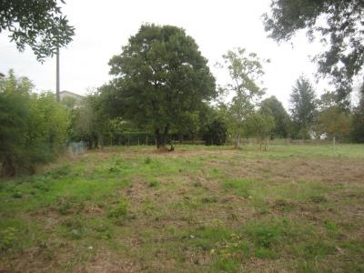 Vente Terrain BEGUEY 33410