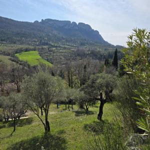 Vente Maison 9 pi�ces ROCHE-SUR-LE-BUIS 26170