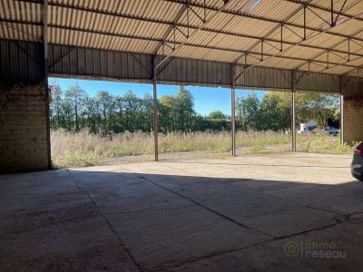 Vente Commerce THOR 84250