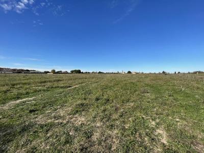 Vente Terrain MARSILLARGUES 34590