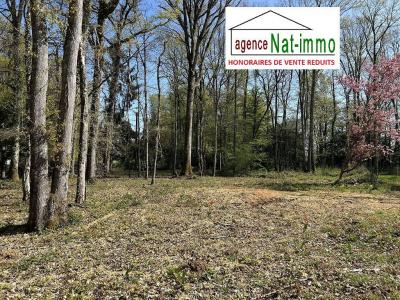 Vente Terrain SELLE-EN-HERMOY 45210