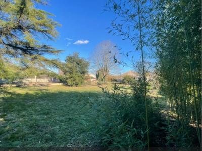 Vente Terrain BESSIERES 31660