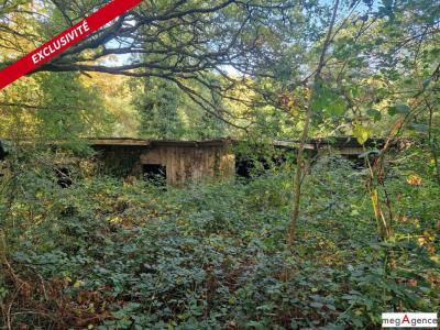 Vente Terrain MONTENEUF 56380