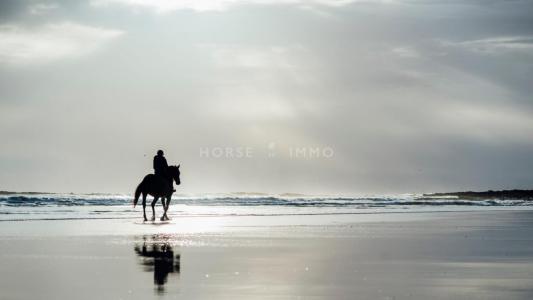 Vente Immeuble TOULON 83000