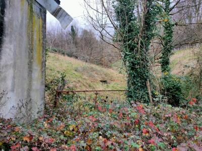 Vente Terrain ALTILLAC 19120