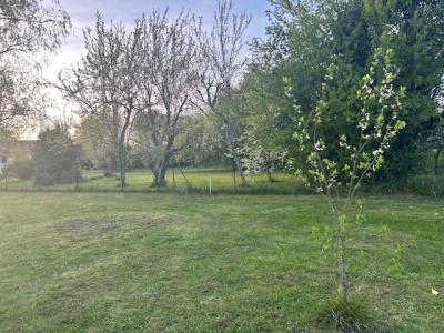 Vente Terrain MARTILLAC 33650
