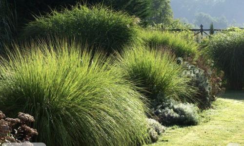 Vente Maison 4 pi�ces SAIN-BEL 69210