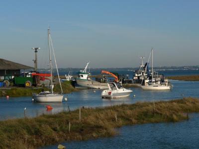 Vente Terrain VIVIER-SUR-MER 35960