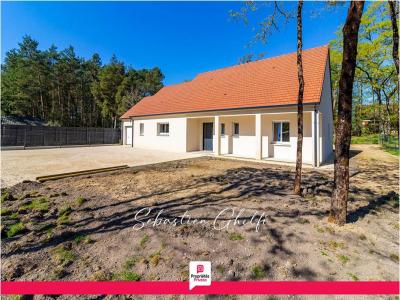 Vente Maison 5 pi�ces CHEMERY 41700