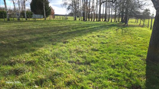 Vente Terrain CHAUFFOUR-LES-BAILLY 10110