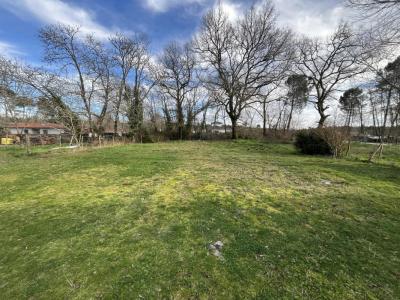 Location Maison 3 pi�ces BELIN-BELIET 33830