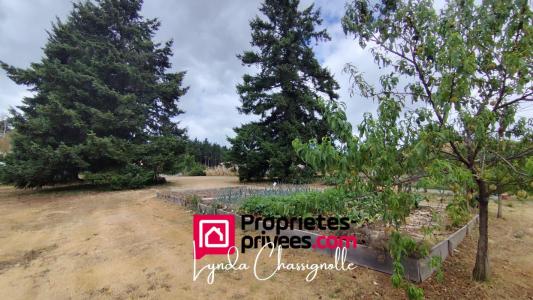 Vente Terrain SAINT-ANDRE-D'APCHON 42370