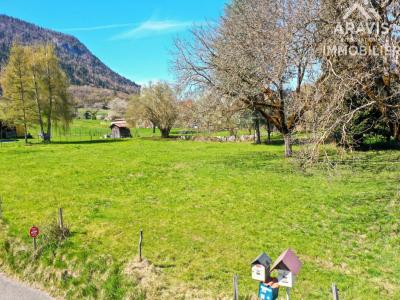 Vente Terrain FAVERGES 74210