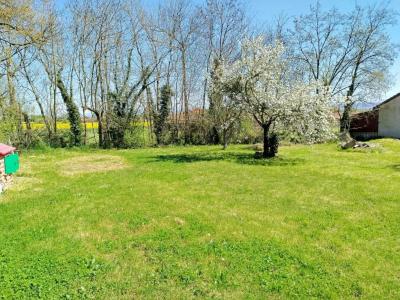 Vente Terrain MOISSIEU-SUR-DOLON 38270
