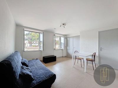 Vente Appartement 2 pi�ces TARARE 69170