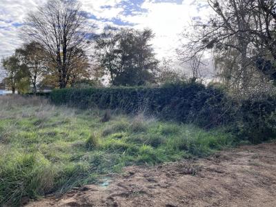 Vente Terrain MOUZEIL 44850