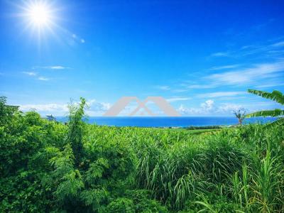 Vente Terrain SAINTE-MARIE 97438