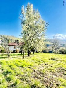 Vente Maison 4 pi�ces AUBIN 12110