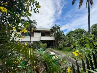 Vente Terrain POSSESSION 97419