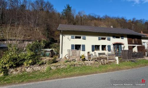 Vente Maison 5 pi�ces LUSSE 88490