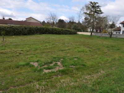 Vente Terrain MONTMERLE-SUR-SAONE 01090