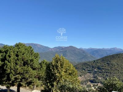 Vente Maison 7 pi�ces SARTENE 20100