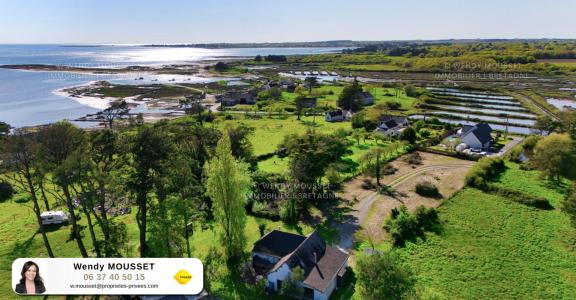 Vente Terrain TOUR-DU-PARC 56370