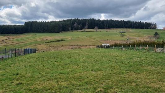 Vente Terrain RIOTORD 43220