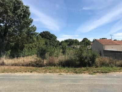 Vente Terrain TONNAY-CHARENTE 17430