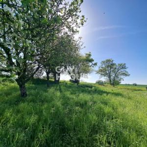 Vente Terrain SAINT-SATURNIN-DU-BOIS 17700