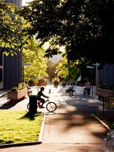 Location Appartement 3 pi�ces ORLEANS 45000