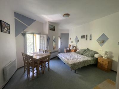 Location Appartement AMELIE-LES-BAINS 66110