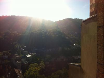 Location Appartement 3 pi�ces THIERS 63300