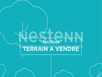 Vente Terrain MONTLIVAULT 41350