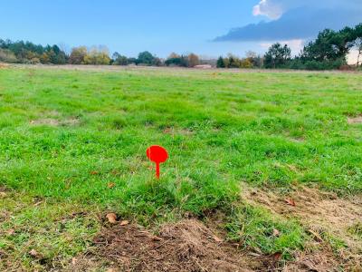 Vente Terrain SAINT-ANDRE-DE-CUBZAC 33240