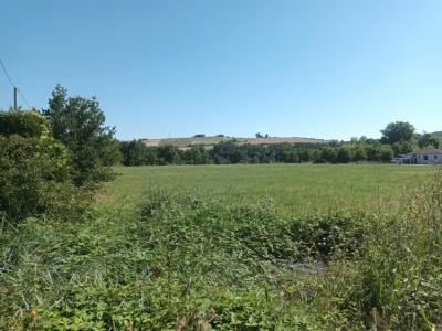 Vente Terrain BESSIERES 31660