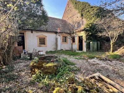 Vente Maison 5 pi�ces SAINTE-SABINE 21320