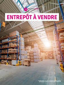 Vente Commerce SAINT-LOUIS 97450