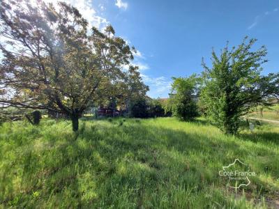 Vente Maison 7 pi�ces ILLATS 33720