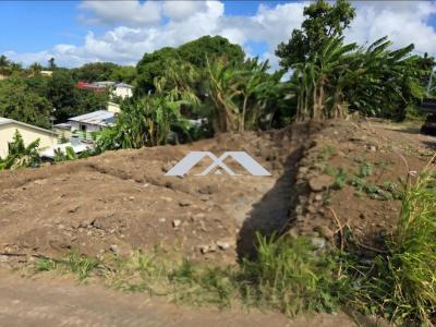 Vente Terrain SAINTE-SUZANNE 97441