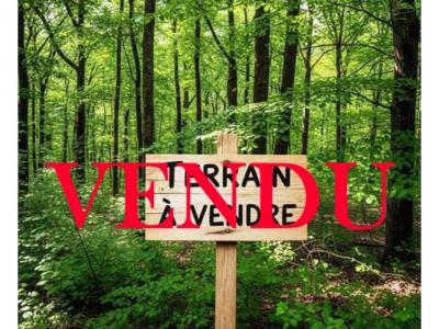 Vente Terrain BEGANNE 56350