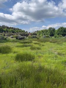 Vente Terrain SALAUNES 33160