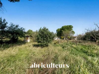 Vente Terrain EGUILLES 13510